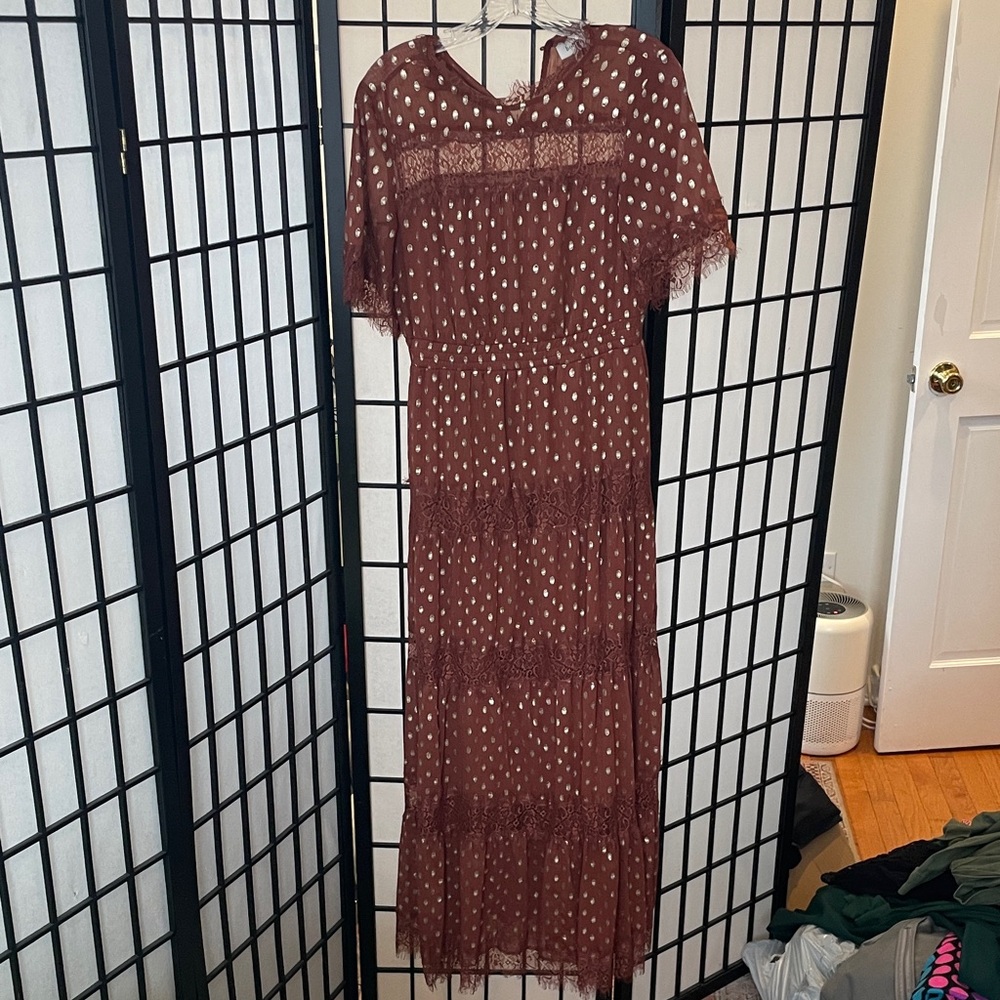 Bohme Brown Polka Dot Maxi Dress